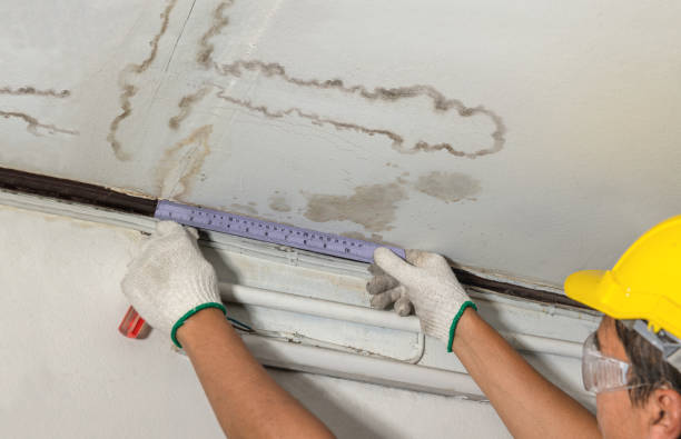 Reliable Water Damage contractor in Danvers, MA by Water Damage Irwin